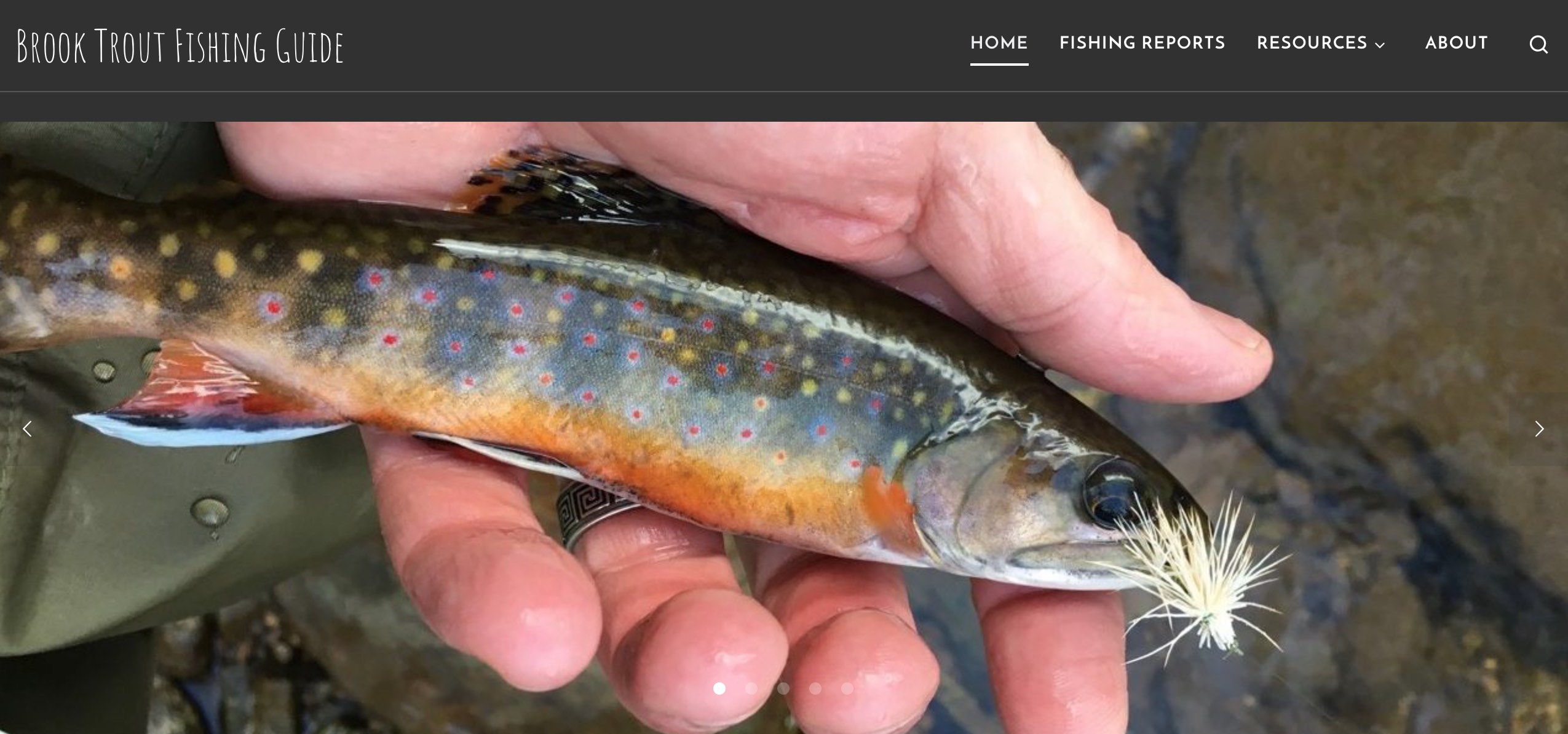 Brook Trout Fishing Guide